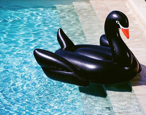 Swan Giant Pool Float